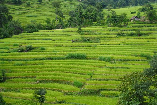 19 Days Cultural Experience Annapurna Circuit Homestay Trek - Cultural Immersion Activities