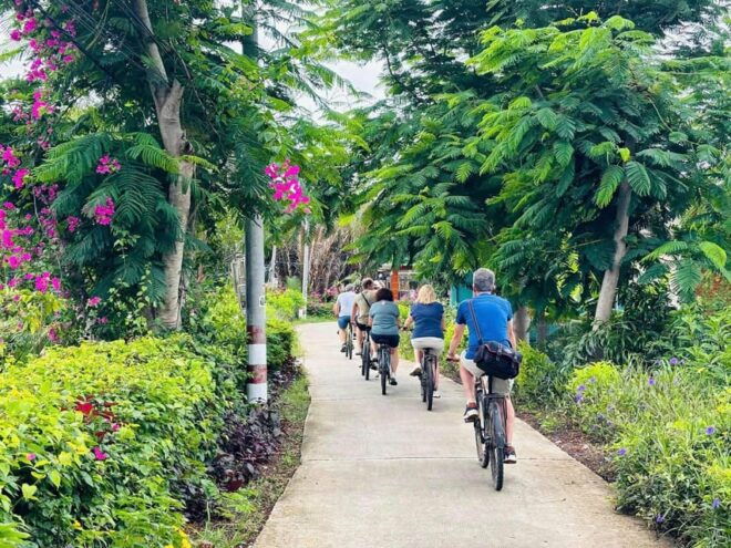 19 Days in Vietnam: Explore the Best Highlights & Essentials - Additional Information