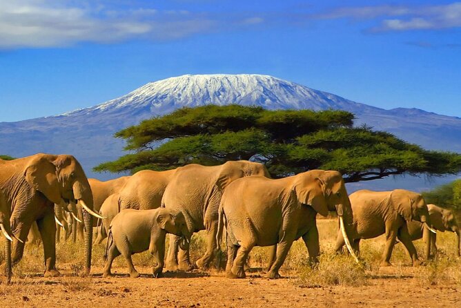 19-Days Private Cycling Expedition From Kenya to Tanzania - Logistics and Pickup Information