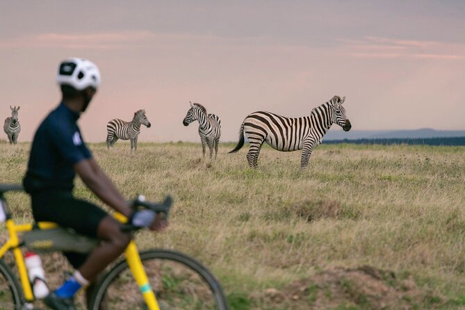 19-Days Private Cycling Expedition From Kenya to Tanzania - Pricing and Booking Details