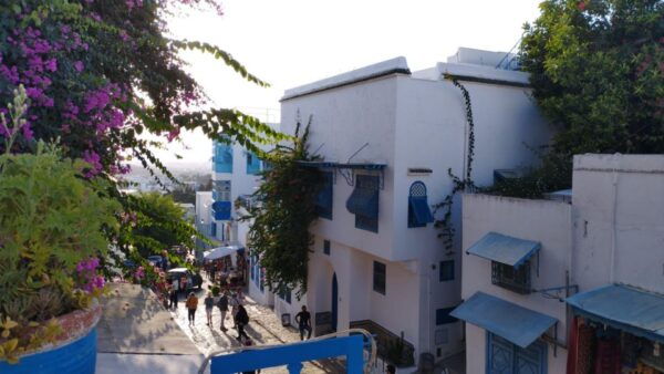 1D-Carthage Sidi Bou Said-Bardo - Common Questions