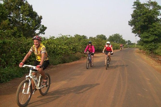 1Day Biking to Nha Trang From Dalat - Review Summary