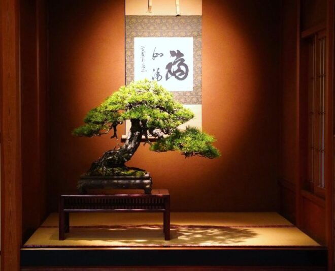 1DAY- Bonsai & Sencha Tea Experience: Pastime of the Litera - Bonsai and Sencha Tea Experience