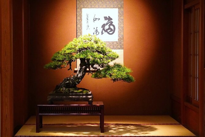 1Day-Bonsai & Sencha Tea Experience: Pastime of the Literati - History of Bonsai and Sencha Tea