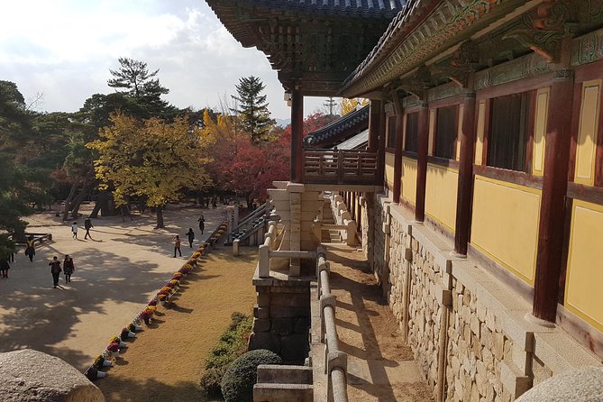 1Day Gyeongju City Tour From BUSAN - UNESCO World Heritage Site - Pricing and Terms