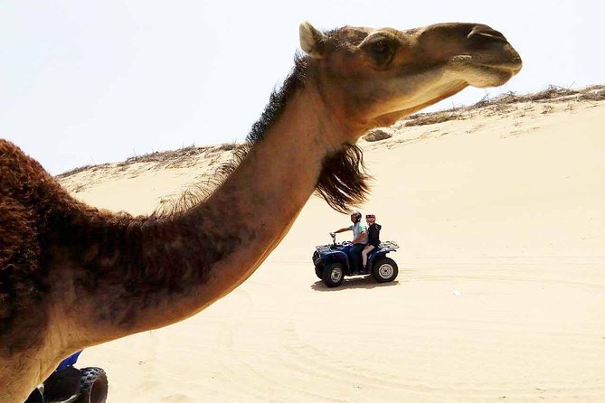 1h Quad Bike on the Beach - Selecting Date and Travelers