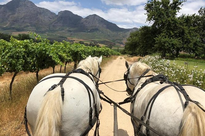1h30m – Wine Tasting Carriage Trail - Select Date and Travelers