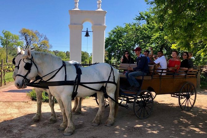 1h30m – Wine Tasting Carriage Trail - Overview