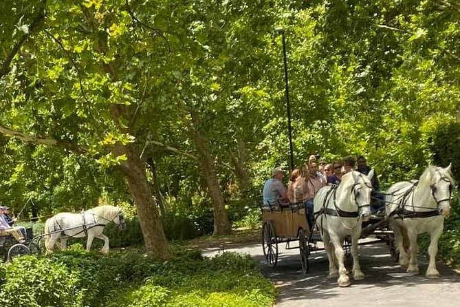 1h30m – Wine Tasting Carriage Trail - Whats Included