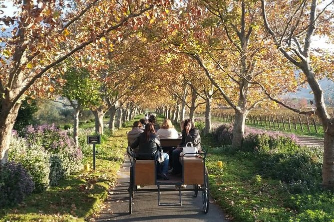 1h30m – Wine Tasting Carriage Trail - Meeting and Pickup