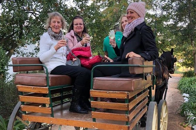 1h30m – Wine Tasting Carriage Trail - The Sum Up