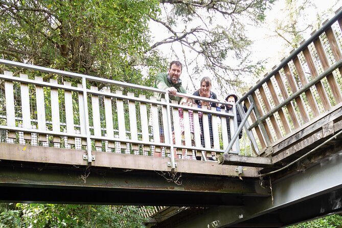 1Hour Guided Tour of Pkaha National Wildlife Centre - The Experience in Detail