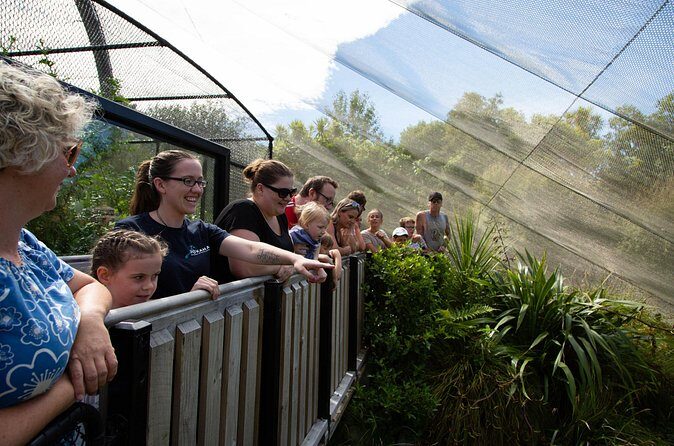 1Hour Guided Tour of Pkaha National Wildlife Centre - Final Thoughts