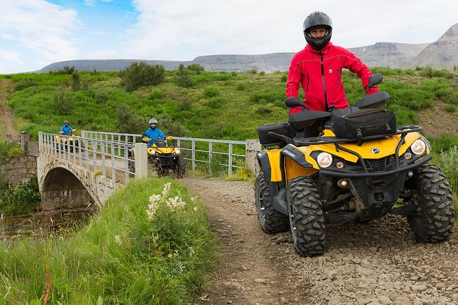 1hr ATV Adventure & Whale Watching Combination Tour From Reykjavik - Inclusions