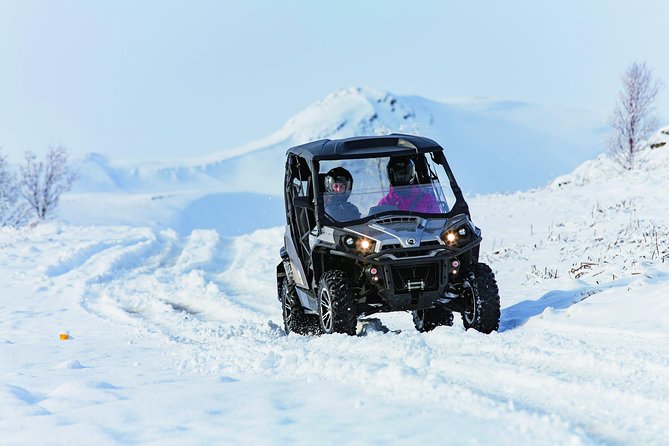 1hr Buggy Adventure From Reykjavik - Pricing and Booking Details