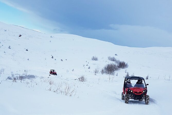 1hr Buggy Adventure & Golden Circle Tour From Reykjavik - Pricing and Lowest Price Guarantee