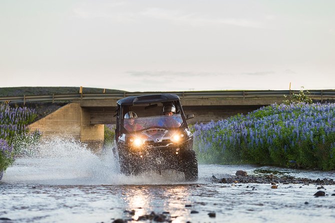 1hr Buggy Adventure & Golden Circle Tour From Reykjavik - Customer Reviews and Testimonials