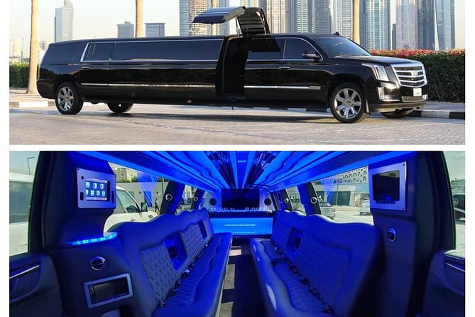 1Hr City Tour by Stretched Limousine (Limo Ride) - Tour Overview