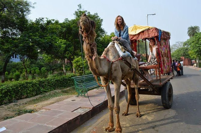 1Night & 2Days Agra & Jaipur Transportation With Local Guiding Experience - Local Guiding Experience