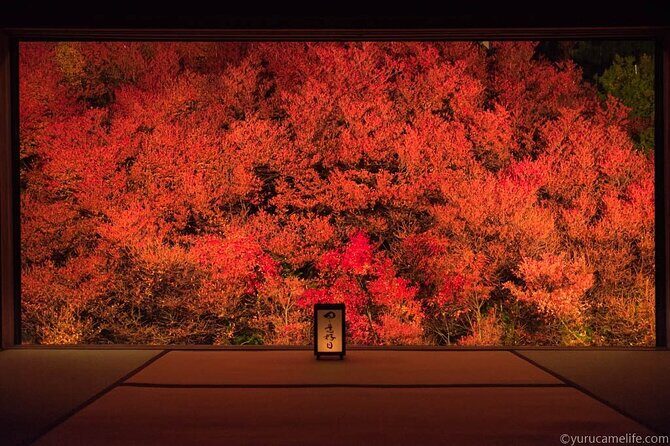 1Night and 2Days Trip to Kinosaki Onsen and Temple - Authentic Experiences and Insights from Travelers