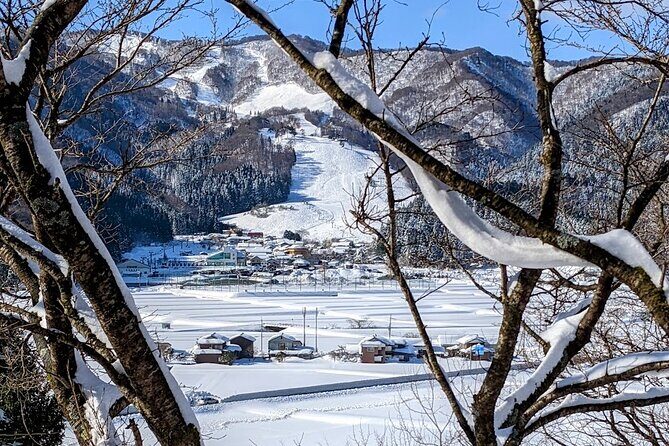 1Night and 2Days Trip to Kinosaki Onsen and Temple - Who Would Benefit Most from This Tour?