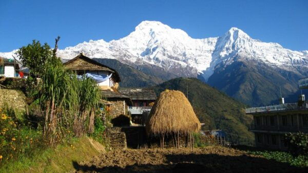 1:Night Stay in Dhampus(Himalayas View) Village From Pokhara - Tips for a Great Experience