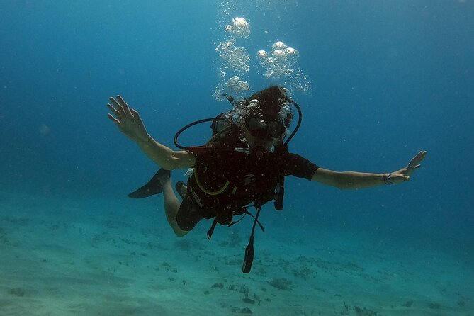 1st Life Experience Scuba Diving in Cancun FREE Photos/Videos - Scuba Diving Experience Highlights