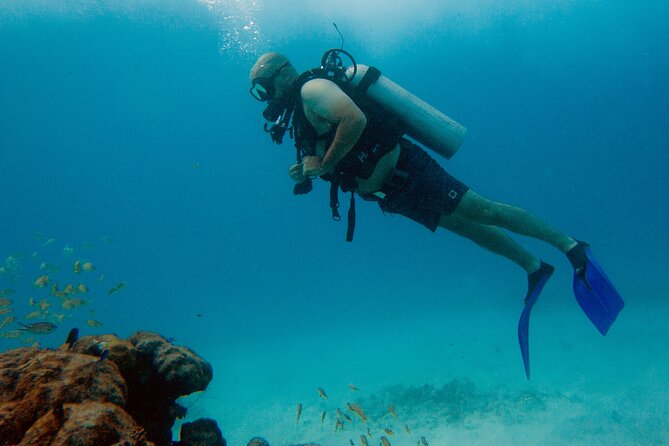 1st Life Experience Scuba Diving in Cancun FREE Photos/Videos - Inclusions and Fees