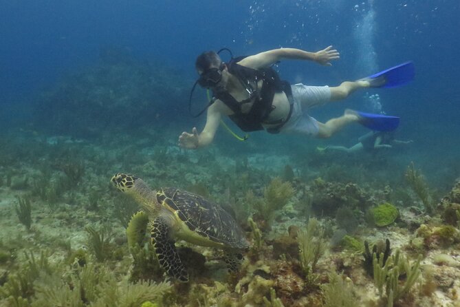 1st Life Experience Scuba Diving in Cancun FREE Photos/Videos - Expectations and Restrictions