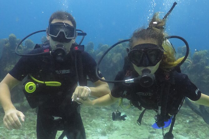 1st Life Experience Scuba Diving in Cancun FREE Photos/Videos - Cancellation Policy and Reviews