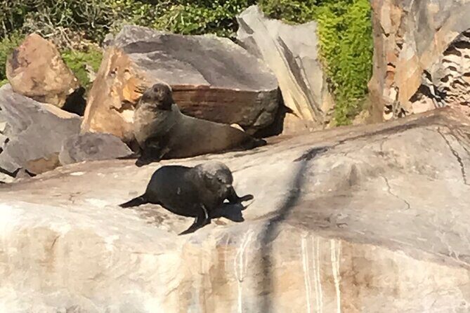 2 1/2 Hr Private Skippered Yacht Charter and Platter on Pittwater - Practical Tips for Booking and Enjoying