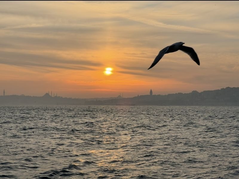 2-3 Hour Bosphorus Cruises with Optional Asian Side Stop in Istanbul - The Bosphorus makes the boat the destination