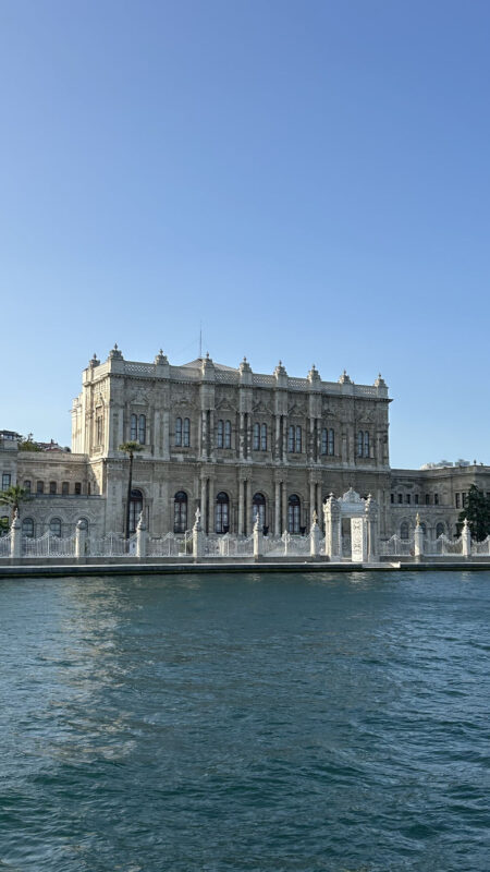 2-3 Hour Bosphorus Cruises with Optional Asian Side Stop in Istanbul - What the Asian-side stop adds