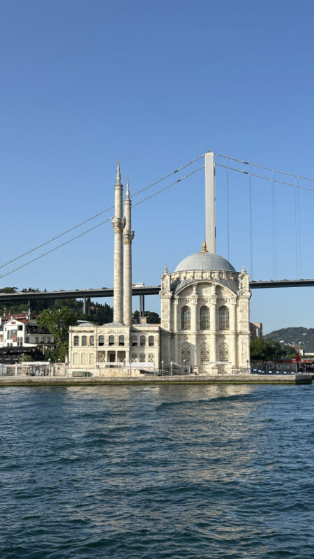 2-3 Hour Bosphorus Cruises with Optional Asian Side Stop in Istanbul - Sunset, daytime, or night