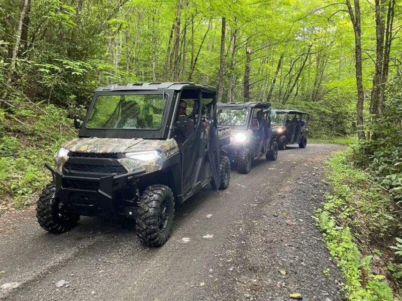 2.5-3 HR Maggie Valley: Guided Scenic UTV Adventure - Who Will Love This Experience?