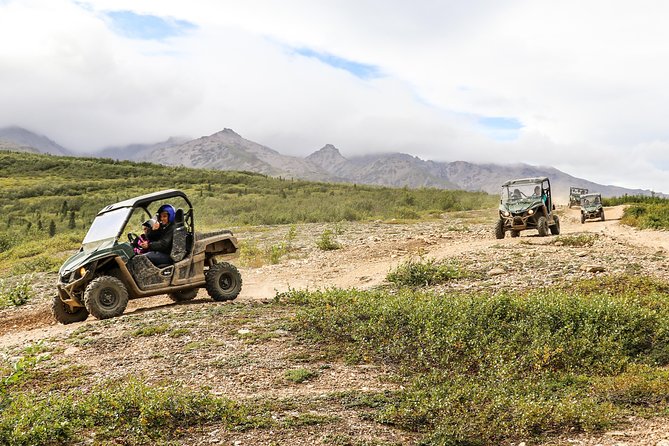 2.5-Hour Denali Wilderness ATV Adventure Tour - Pricing and Booking Information