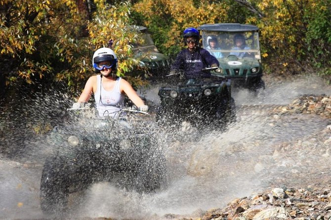 2.5-Hour Denali Wilderness ATV Adventure Tour - Wildlife and Landmarks