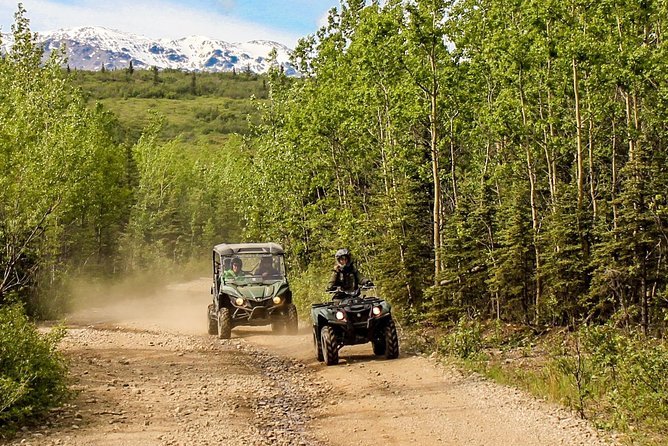2.5-Hour Denali Wilderness ATV Adventure Tour - The Sum Up