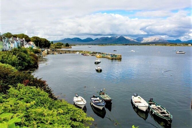 2.5 Hour Guided Sea Kayaking in Roundstone Bay - Kayaking Highlights and Exploration Options