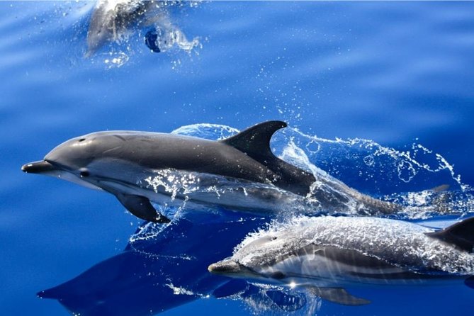 2.5-Hour Lanzarote Sunset Cruise From Marina Puerto Del Carmen - Sunset Viewing Experience
