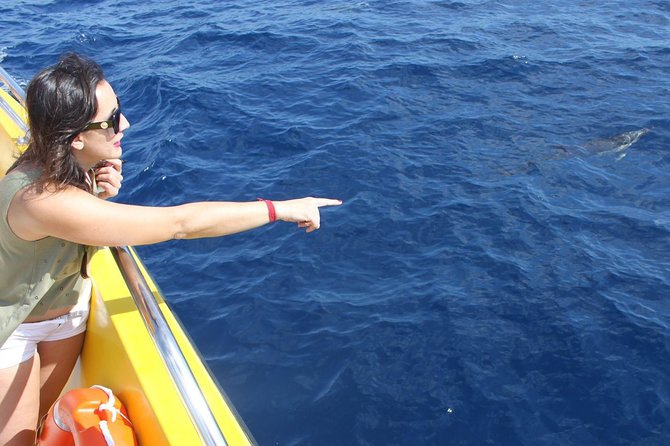 2.5-Hour Lanzarote Sunset Cruise From Marina Puerto Del Carmen - Additional Information and Cancellation Policy