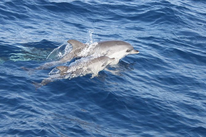 2.5-Hour Lanzarote Sunset Cruise From Marina Puerto Del Carmen - The Sum Up