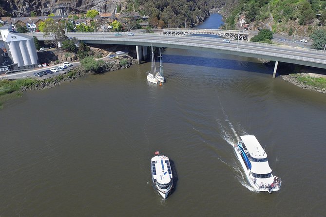 2.5 Hour Morning Discovery Cruise Including Sailing Into the Cataract Gorge - Overview and Features