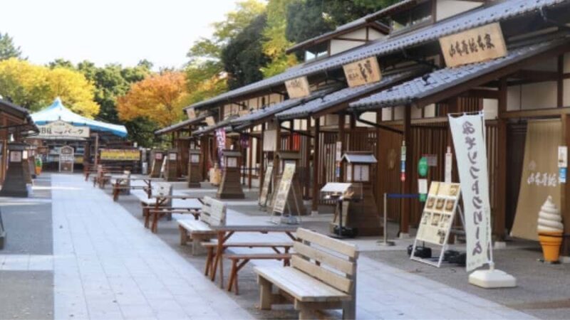 2.5-Hour Nagoya Tour: Castle History, Local Food & City View - FAQ