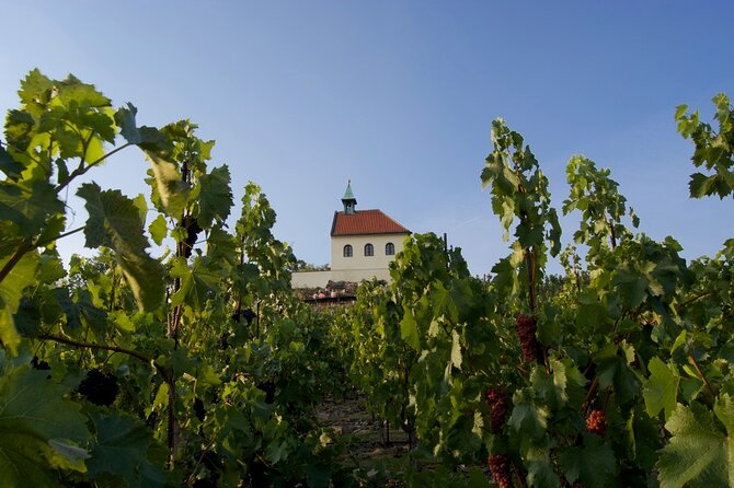 2.5-Hour Prague Wine Tasting Walking Tour - Wine Tasting Experience