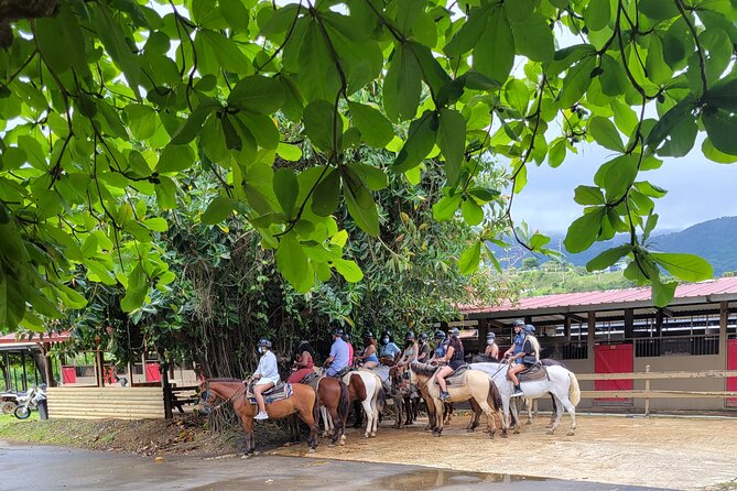 2.5-Hour Puerto Rico Beach Horseback Riding Experience - Experience Details