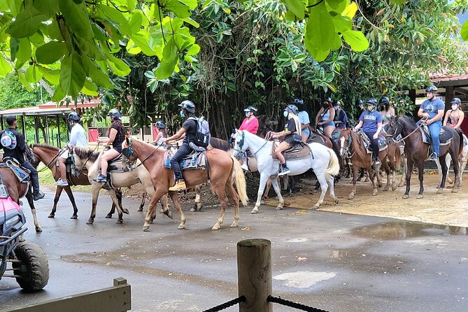 2.5-Hour Puerto Rico Beach Horseback Riding Experience - Inclusions