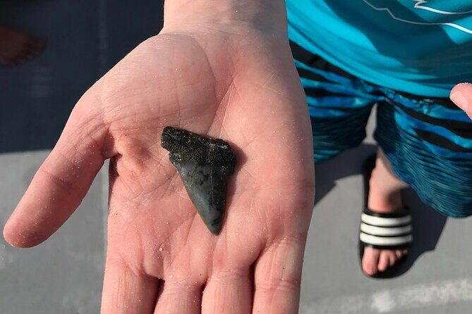 2.5 Hour Shell Key Island Adventure Including Dolphins And Shells - FAQ