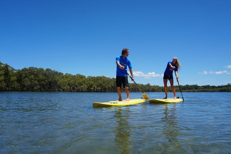 2.5 Hour Stand-Up Paddle Board Group Tour in Byron Bay - From Fletcher Street to the Brunswick River