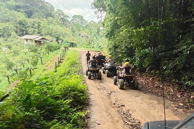 2.5-Hours ATV Jungle Adventure Experience From Koh Phangan - Cancellation Policy and Tour Availability
